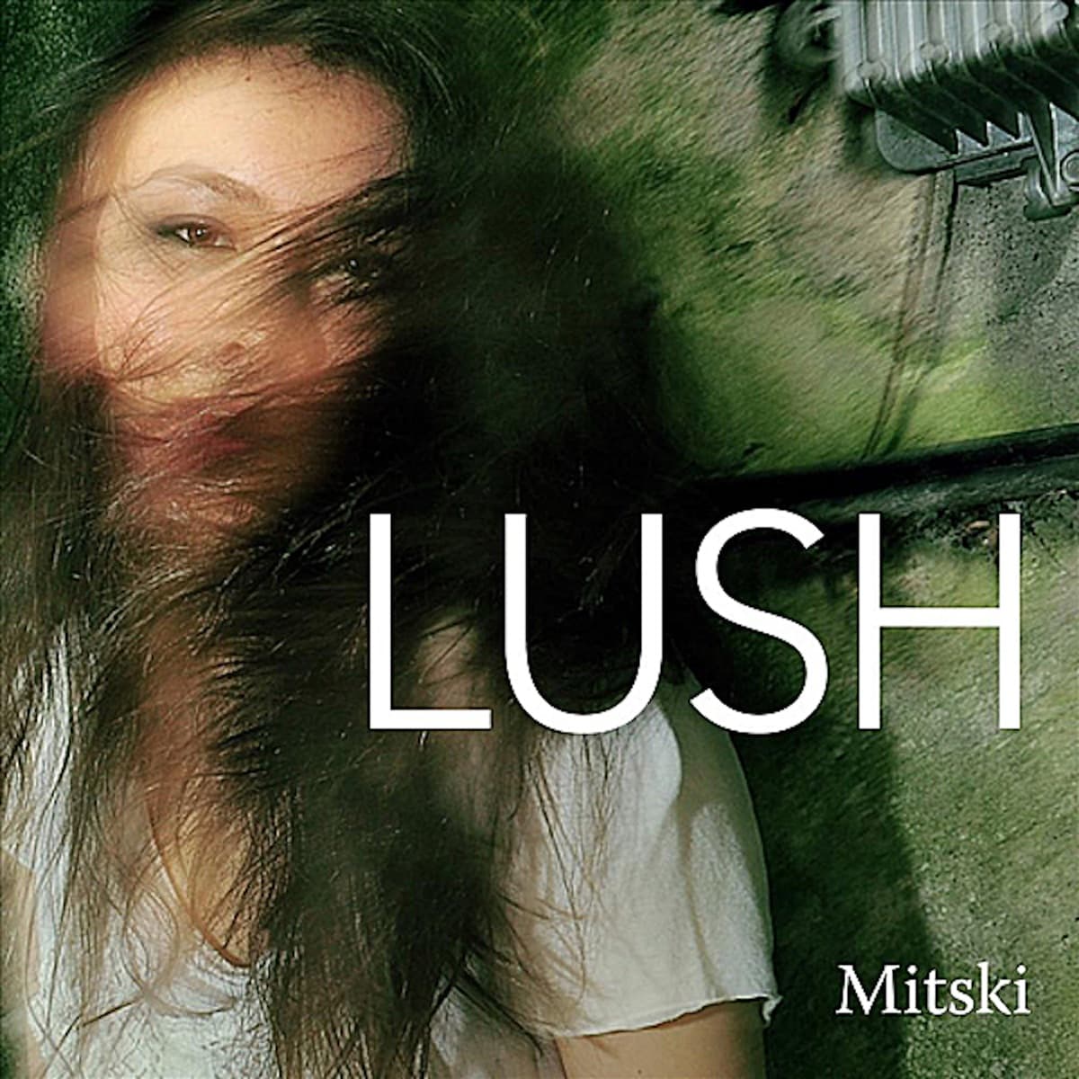 Lush artwork