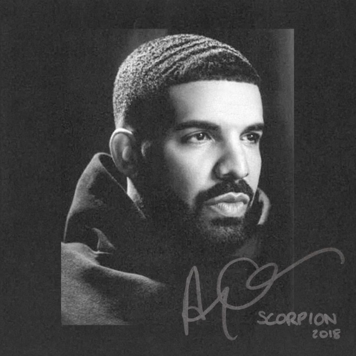 Scorpion artwork