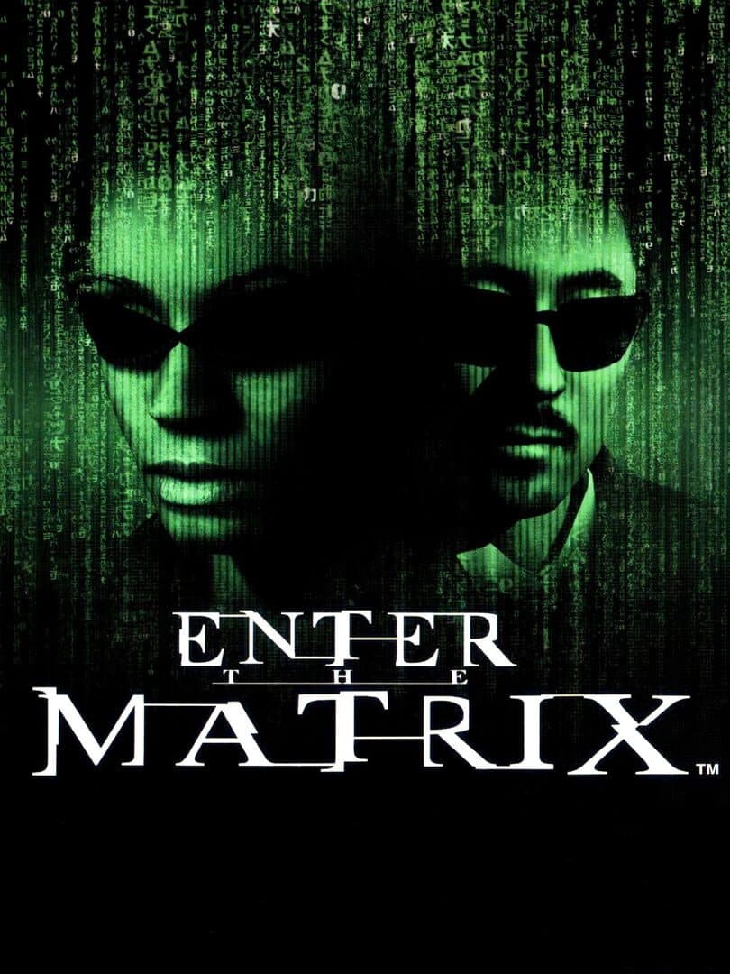 Enter the Matrix artwork