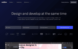 Webflow artwork